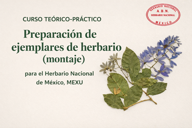 imagen_de_referencia