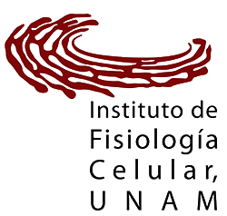imagen_de_referencia