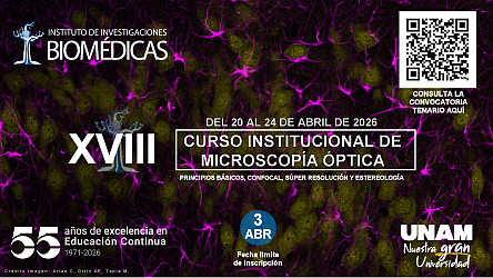 imagen_de_referencia