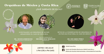 imagen_de_referencia