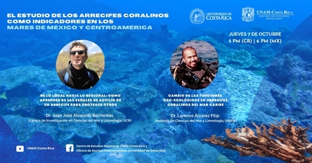 imagen_de_referencia