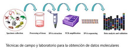 imagen_de_referencia