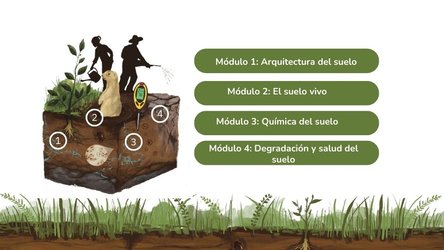 imagen_de_referencia