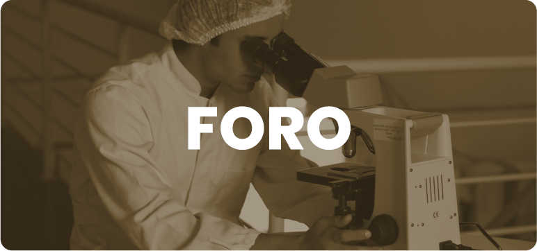 Foro