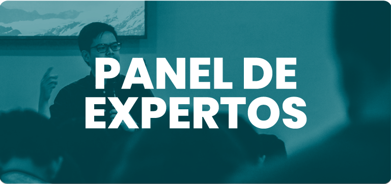Panel de expertos